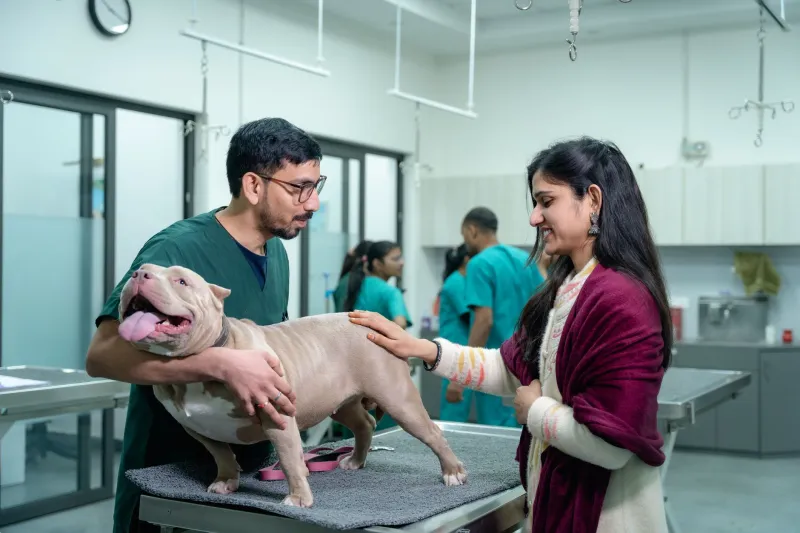 Health Certs, Decoded: What OFA, PennHIP, and Genetic Testing Actually Tell You About a Puppy