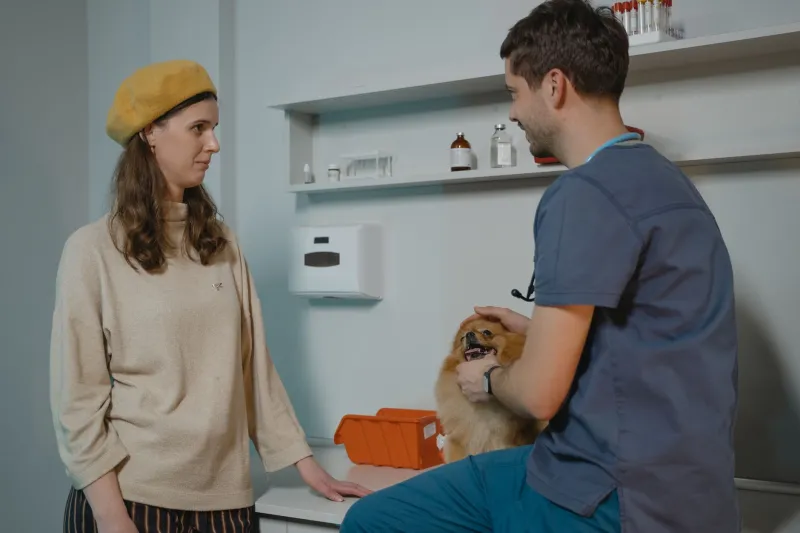 What Nobody Tells You About the First Year: The Real Cost of Bringing Home a Puppy