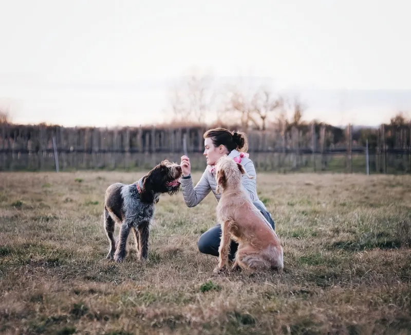 The Sale Is Just the Beginning: How a Good Breeder Stays in Your Corner for Life