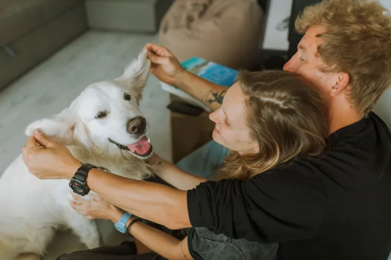 When Love Isn't Enough: Why the Right Family Doesn't Always Mean the Right Fit for a Specific Dog
