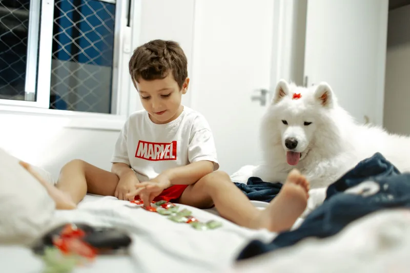 When the Perfect Dog Turns Into a Perfect Storm: What Breeders See That Families Don't